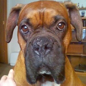 Meet your Posher, Ted